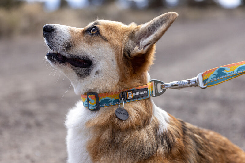 Ruffwear - Crag collar