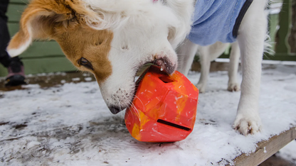 ruffwear - Gnawt-a-Rock