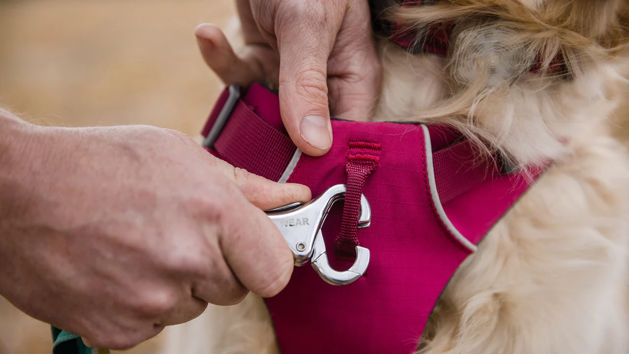 Ruffwear - Front range harness