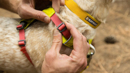 Ruffwear - Hi & Light Harness