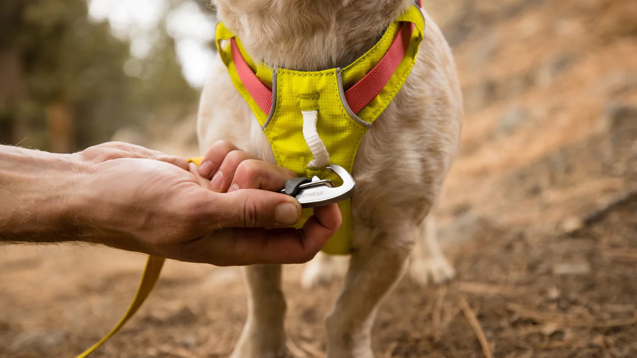 Ruffwear - Hi & Light Harness