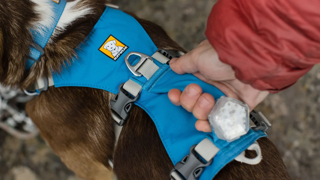 Ruffwear - Flagline harness