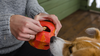 ruffwear - Gnawt-a-Rock