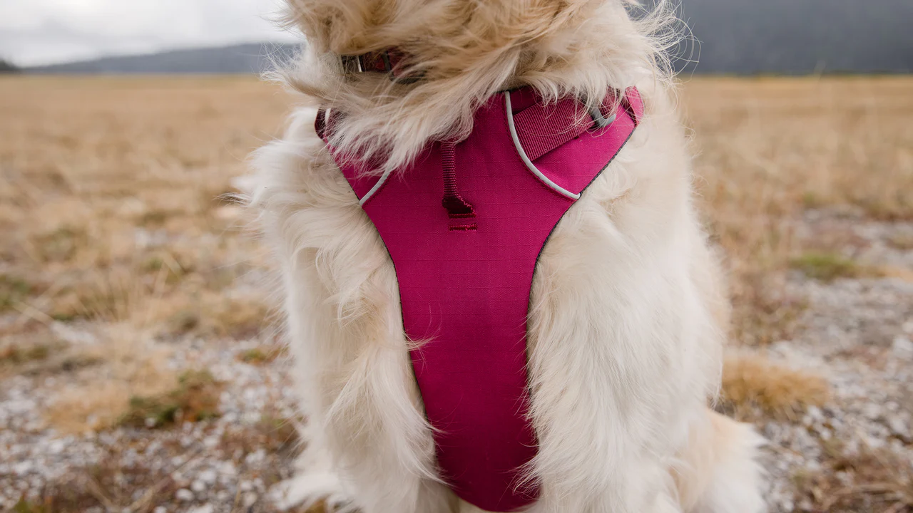 Ruffwear - Front range harness